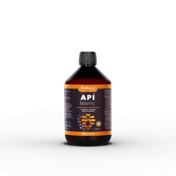 ApiBiotic 0,5L - Synbiotyk przeciwdrobnoustrojowy